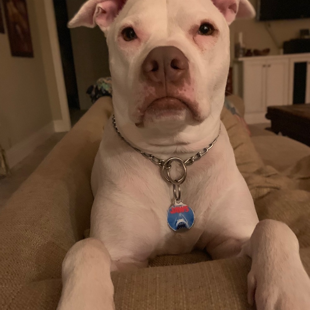 Meet your Posher, Alexandria